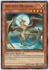 Ancient Dragon