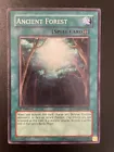 Ancient Forest