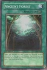 Ancient Forest