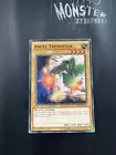 Angel Trumpeter