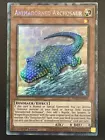 Animadorned Archosaur