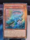 Animadorned Archosaur