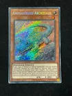 Animadorned Archosaur