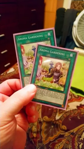 Aroma Gardening