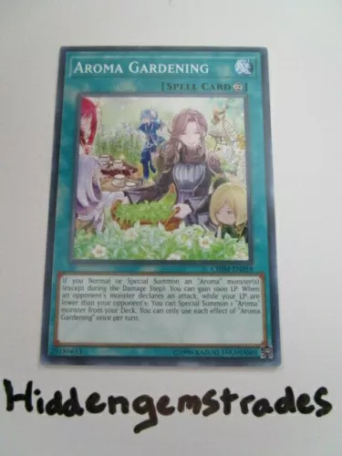 Aroma Gardening