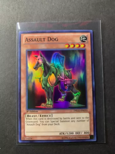 Assault Dog