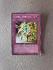 Rank-Up-Magic Astral Force