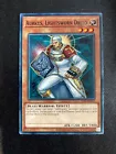 Aurkus, Lightsworn Druid