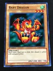 Baby Dragon