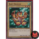 Baby Dragon