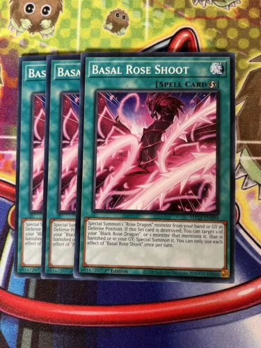 Basal Rose Shoot