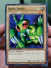 Basic Insect