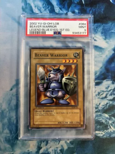 Beaver Warrior