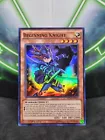 Zubaba Knight