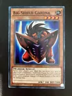 Big Shield Gardna