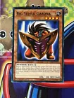 Big Shield Gardna