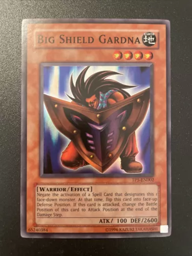 Big Shield Gardna