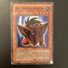 Big Shield Gardna