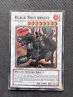 Black Brutdrago