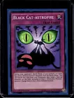 Black Cat-astrophe