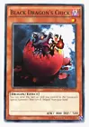 Black Dragon's Chick