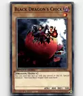 Black Dragon's Chick