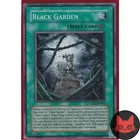 Black Garden