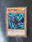 Black Ptera