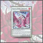 Black Rose Dragon