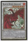 Black Rose Dragon
