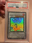 Black Rose Dragon