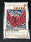 Black Rose Dragon