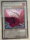 Black Rose Dragon