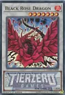 Black Rose Dragon