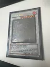 Black Rose Dragon