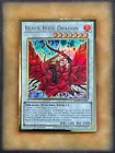 Black Rose Dragon