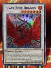 Black Rose Dragon