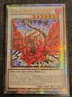 Black Rose Dragon
