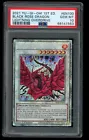 Black Rose Dragon