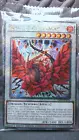 Black Rose Dragon