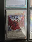 Black Rose Dragon