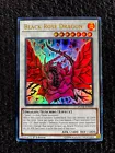 Black Rose Dragon