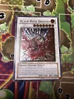 Black Rose Dragon