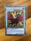 Black Rose Moonlight Dragon