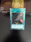 Black Whirlwind