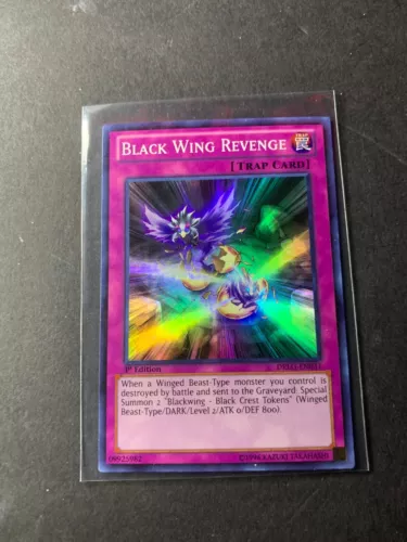 Black Wing Revenge