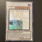 Black-Winged Dragon