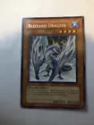 Blizzard Dragon