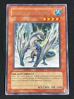 Blizzard Dragon