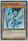 Blizzard Dragon